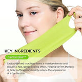 Dr.Melaxin CACTOX V-Lifting Mewing Band – Cactox + Caffeine + Collagen Double Chin Lifting Band for Sagging Jawline & Facial Puffiness 8 pcs (2 pcs)